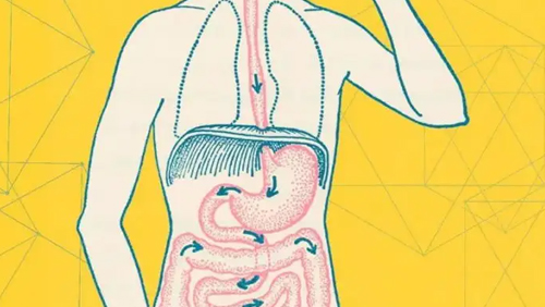 腸胃不好的人，平時(shí)常吃6種水果，或有助修復(fù)胃黏膜